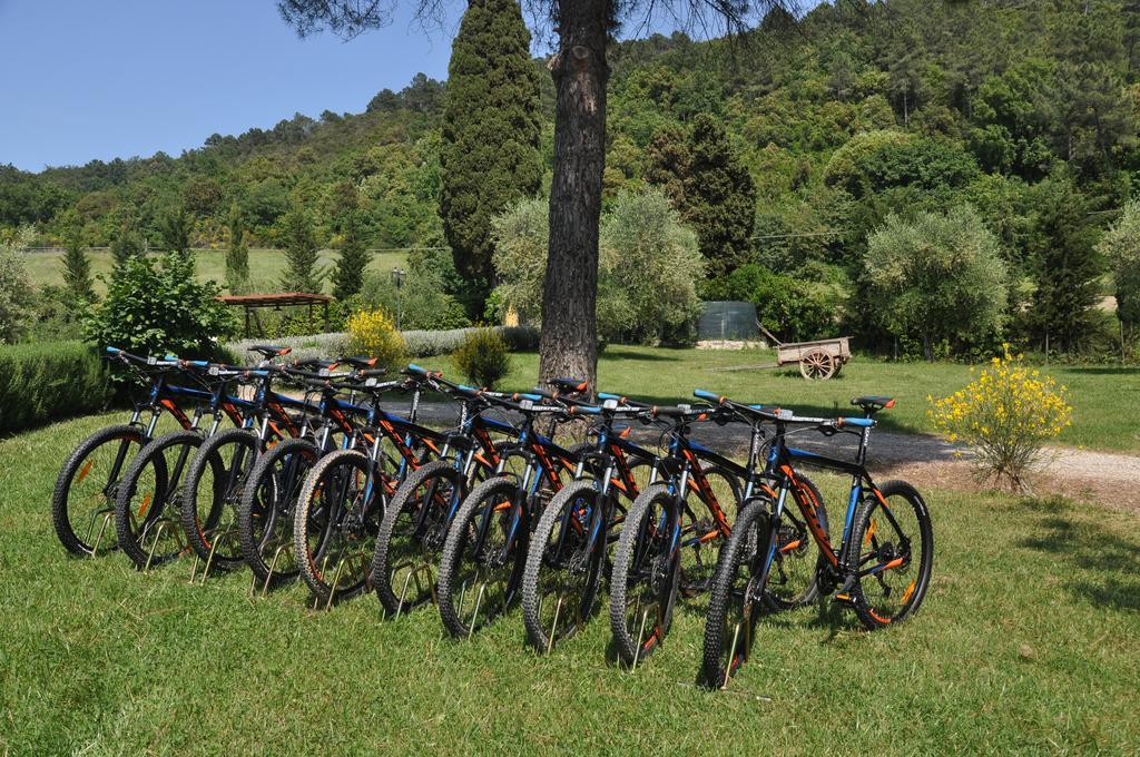 Agriturismo Eco-Bio Belmonte Vacanze Montaione Exterior foto