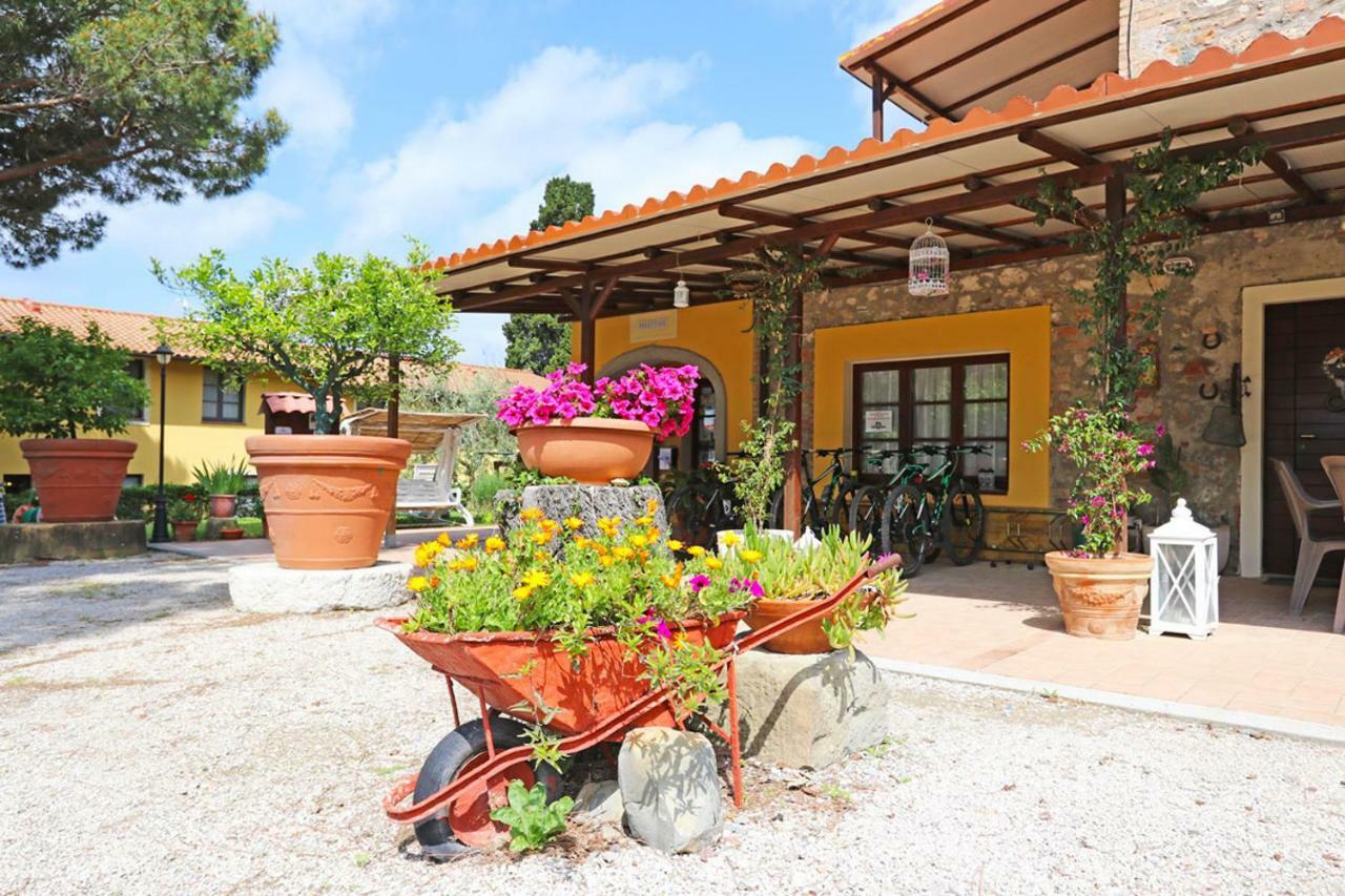 Agriturismo Eco-Bio Belmonte Vacanze Montaione Exterior foto
